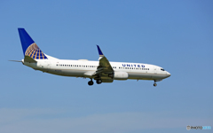 United 737-824 N77296 ｼﾐﾀｰW 到着 
