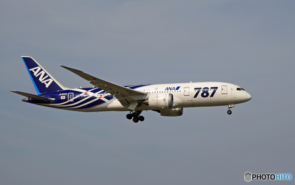 着陸 ANA 787-8 JA802A サバ2塗装