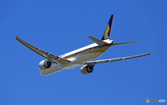 Singapore 777-312 9V-SWZ 離陸　