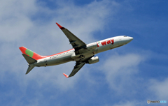 [青空] t'way 737-86N HL8000