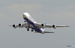 NCA 747-8KZF JA14KZ飛び立ち　