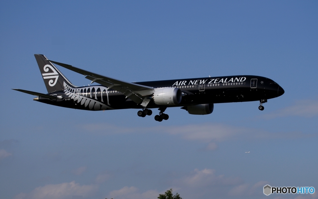 Air New Zealand 「All Blacks」787-9 ZK-NZE