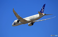 「スカイ」 LOT 787-8 SP-LRC 飛行