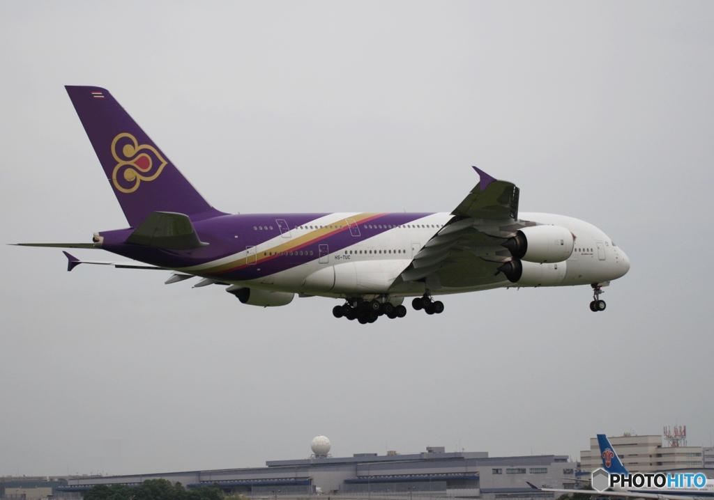 Thai A380-841 到着　