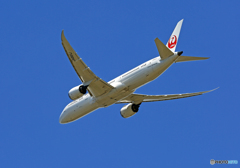 「はれ」 JAL 787-9 JA861J 飛び立ち  「はれ」 JAL 787-9 JA861J 飛び立ち