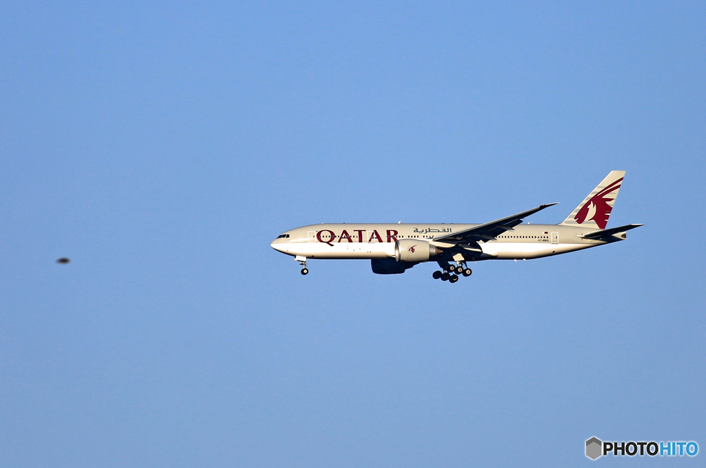 「ひこうきの丘」から、Bランだと500mmは欲しいですね？