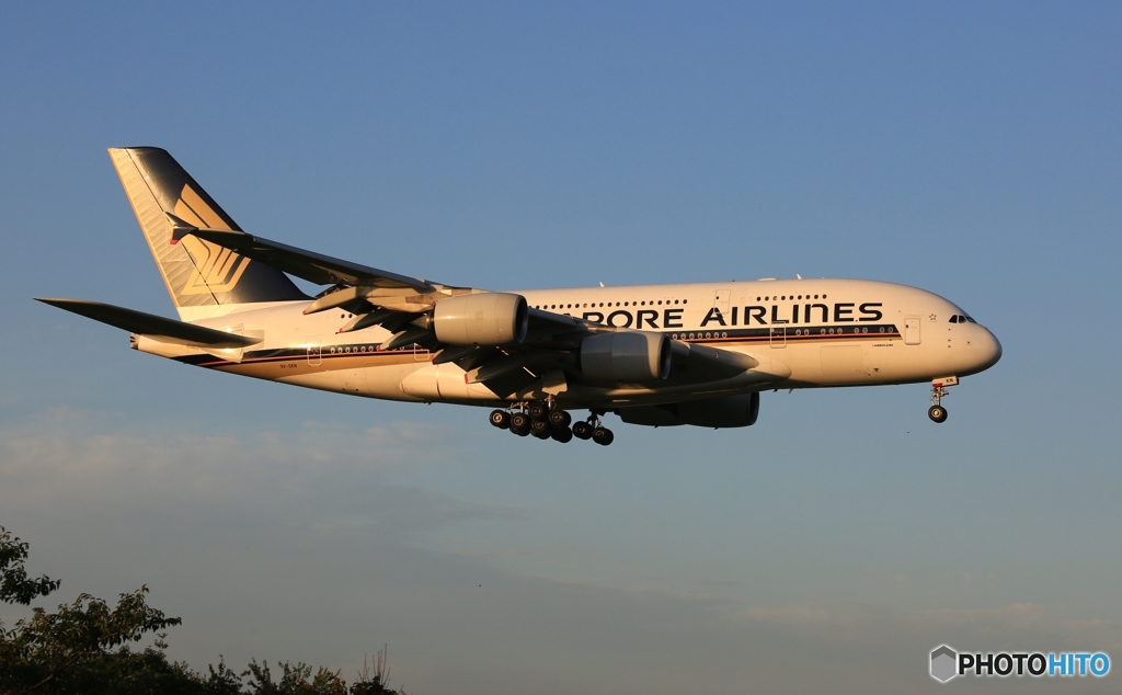 着陸　Singapore A380-841 