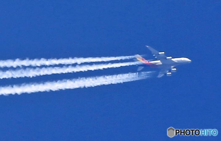 11,500ｍ上空です！アシアナ航空エアバスA380