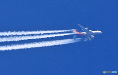 11,500ｍ上空です！アシアナ航空エアバスA380