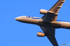 離陸 ANA 787-8 JA805A