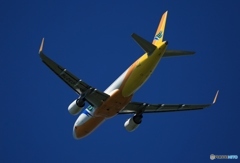 CEBU A320-214  飛び立ち　