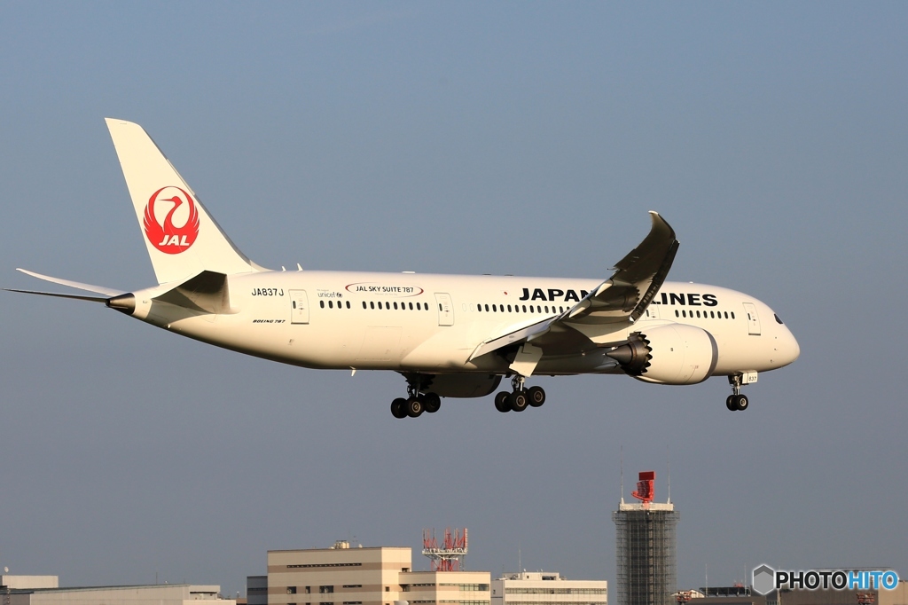 JAL 787-8 到着　