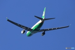 EVA A330-203 離陸 