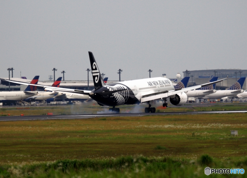 Air New Zealand 787-9 到着　