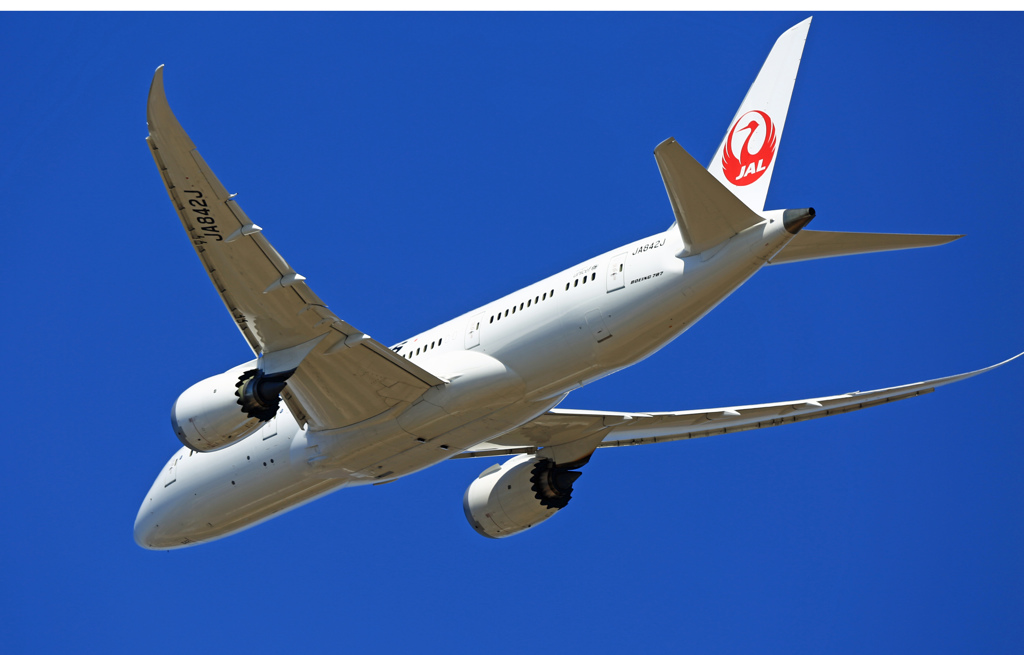 JAL 787-8 JA842J 離陸 