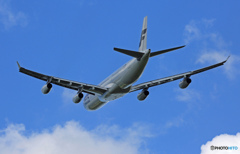 ✈明けましておめでとうございます