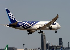 到着　ANA 787-8 