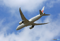 「青い空」が一番 JAL 787-9 JA839J 飛び立ち 「青い空」が一番 JAL 787-9 JA839J 飛び立ち