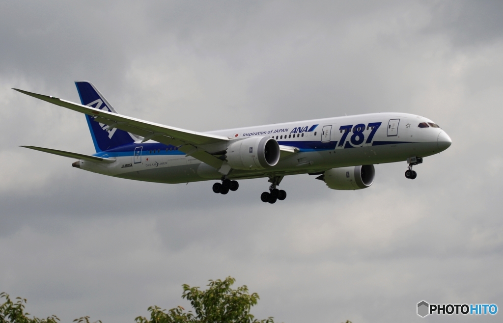 ANA 787-8 到着　