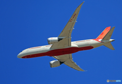 「そらー」 AIR INDIA 787-8 VT-ANA 離陸