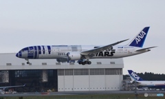 ANA 787-9 JA873A 到着 