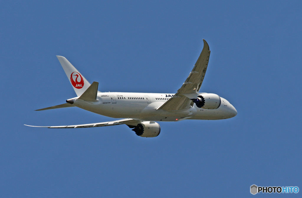 JAL 787-8 JA844J 離陸 