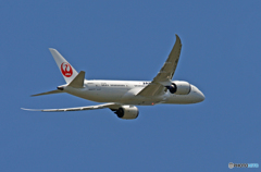 JAL 787-8 JA844J 離陸 