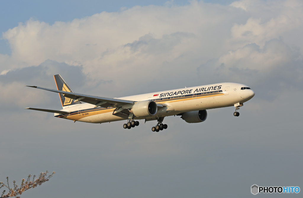 「はれー」 Singapore 777-312 9V-SWM 着地前