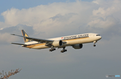 「はれー」 Singapore 777-312 9V-SWM 着地前 「はれー」 Singapore 777-312 9V-SWM 着地前