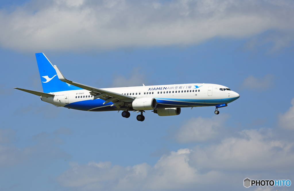  「晴れ」 厦門航空 737-800 B-5565 Landing