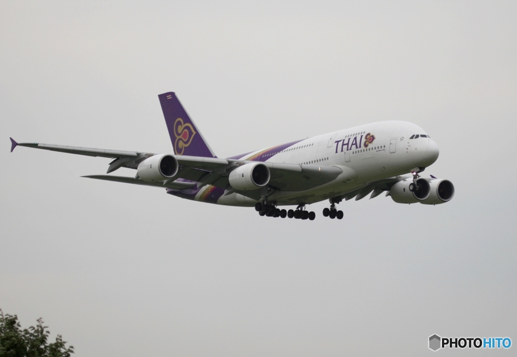 THAI A380-841曇り
