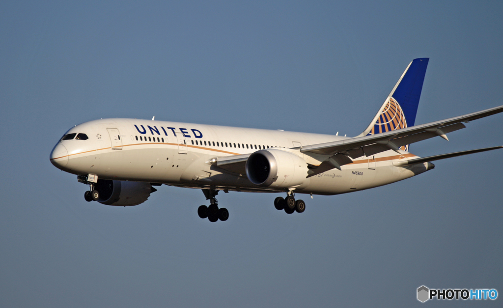 到着 UNITED 787-8 N45905
