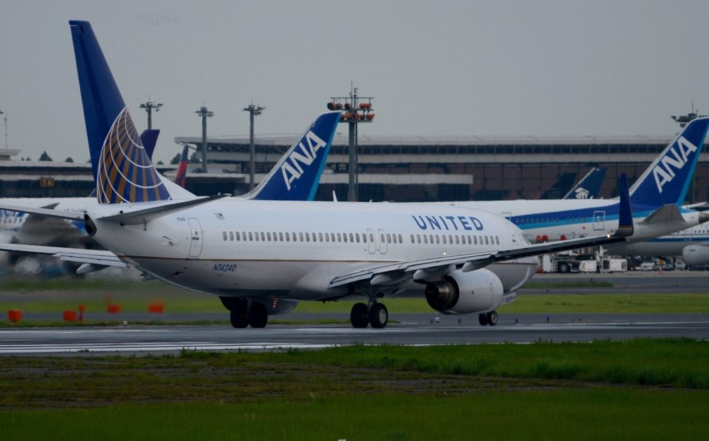 出発（233） UNITED 737-800 
