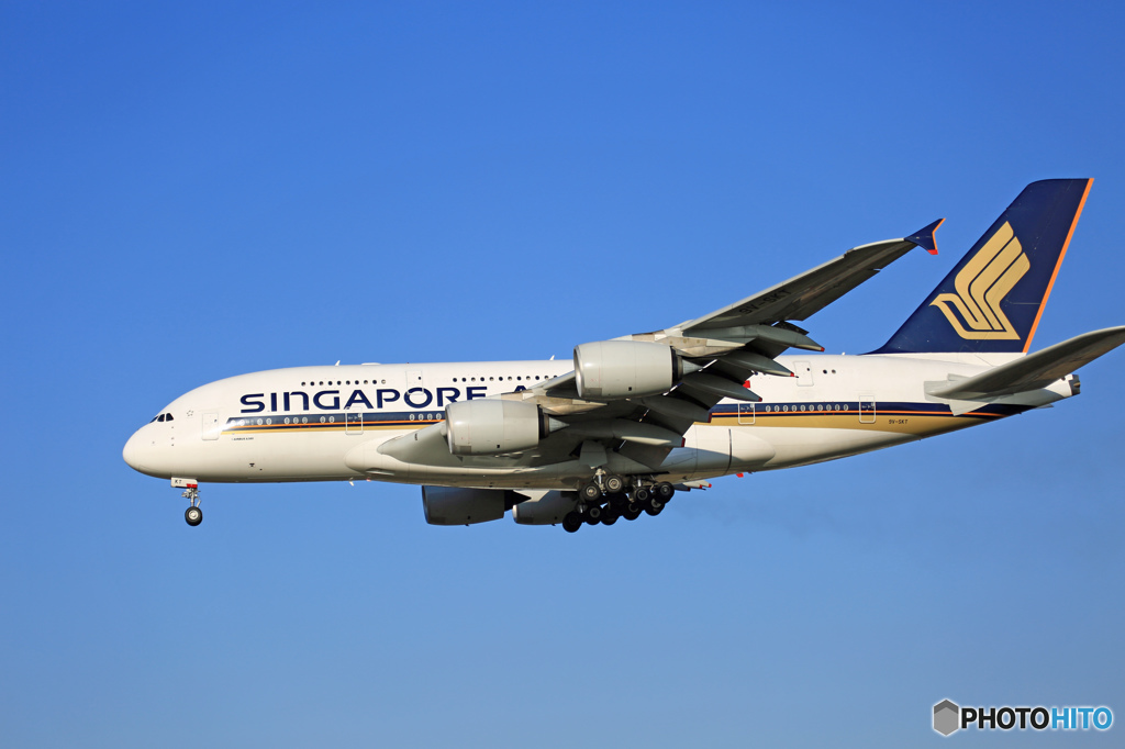 着陸 Singapore A380-841 9V-SKT