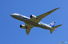 飛び立ち ANA 787-8 JA815A