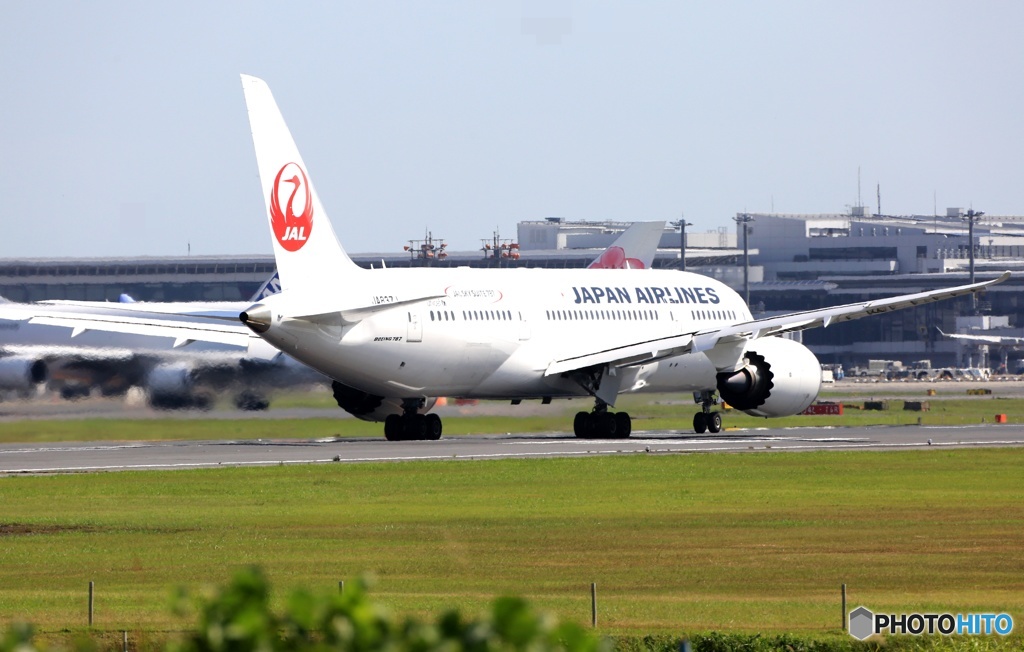 JAL 787-8 JA837J 出発　