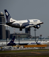 Aurora 737-500 到着　