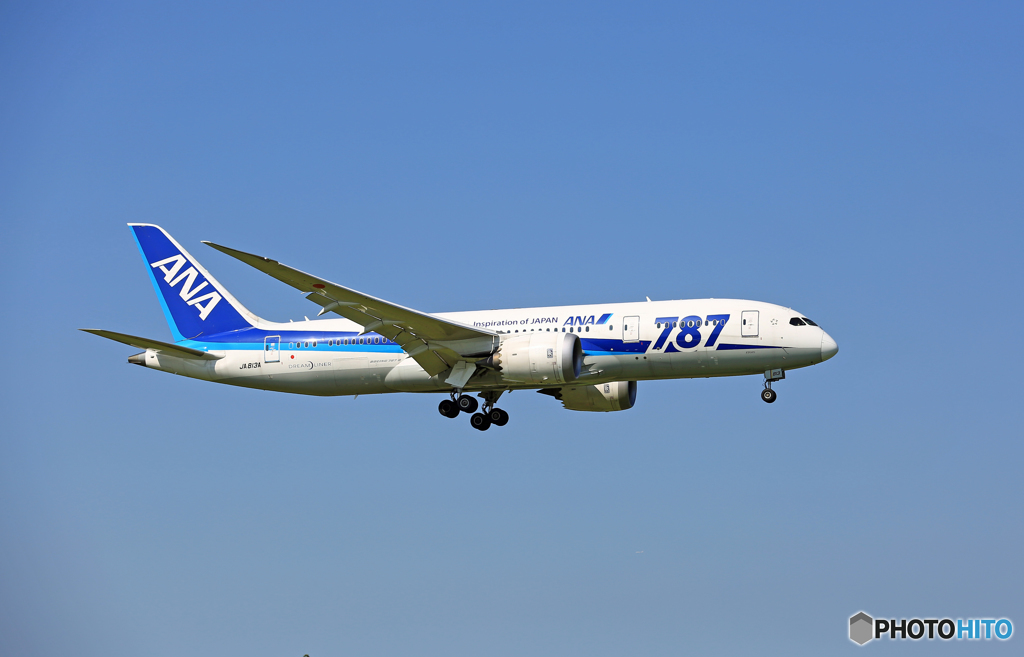 ANA 787-8 JA813A 到着 
