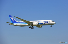 ANA 787-8 JA813A 到着 
