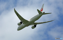 出発 JAL 787-8 JA832J