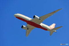 「ぶるー」AIR India 787-8 VT-ANM離陸
