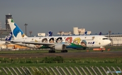 「ゆめジェット ～You ＆ Me～」767-300✈