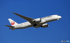 JAL 787-8 JA840J 出発 