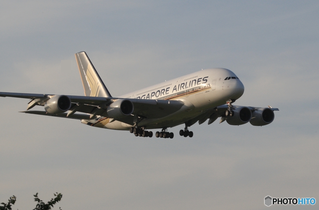 到着　SINGAPORE A380-841