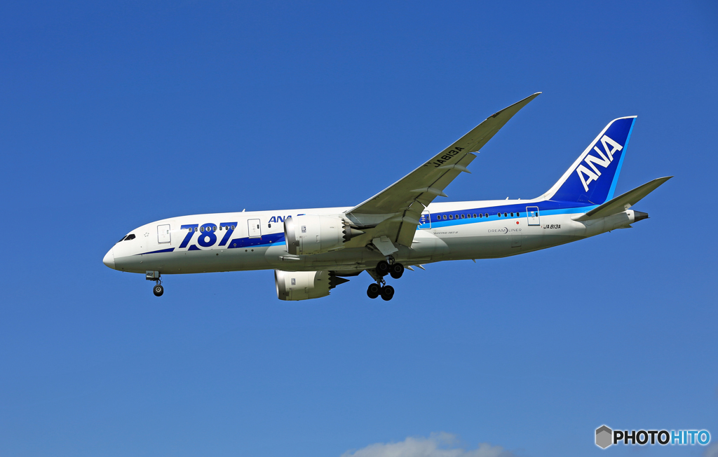 [青空] ANA 787-8 JA813A