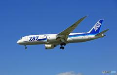 [青空] ANA 787-8 JA813A