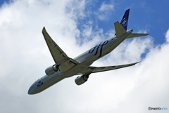 「晴れ」 KLM スカイ 777-306 PH-BVD 出発