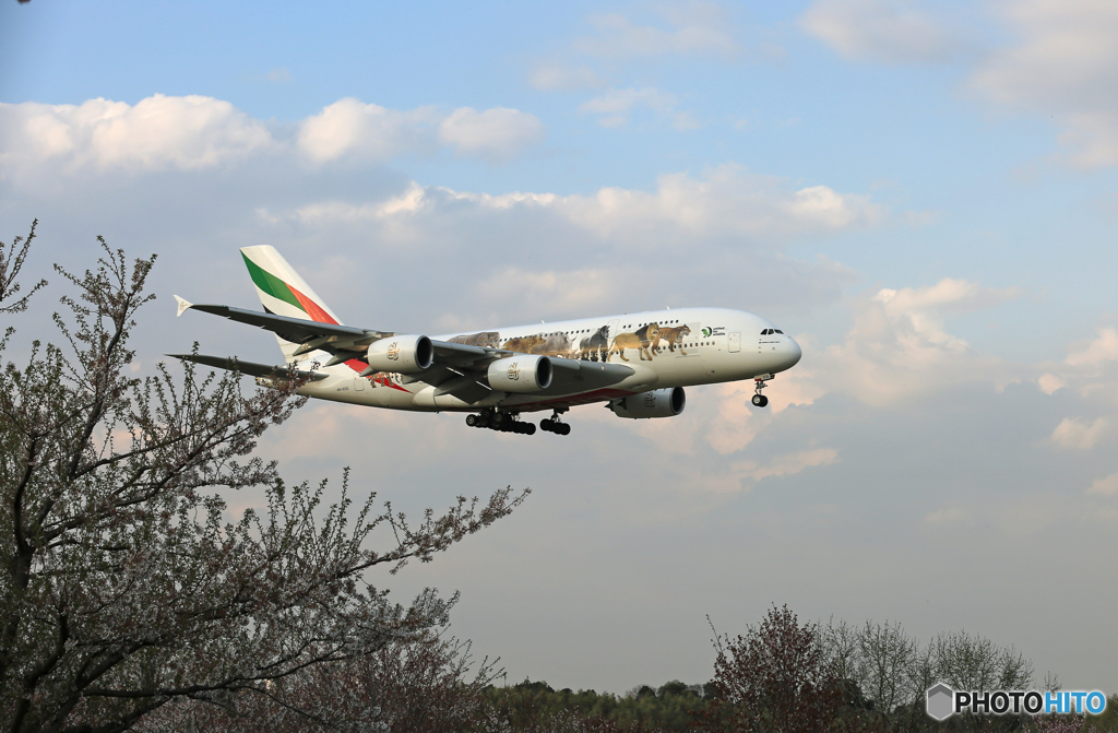 ✈Emirates特別塗装A380-861 A6-EEQ✈