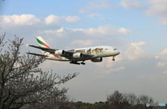 ✈Emirates特別塗装A380-861 A6-EEQ✈