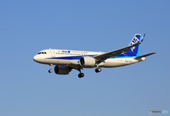 「SKY」 ANA A320-neoネオ 271N JA212A飛行 「SKY」 ANA A320-neoネオ 271N JA212A飛行